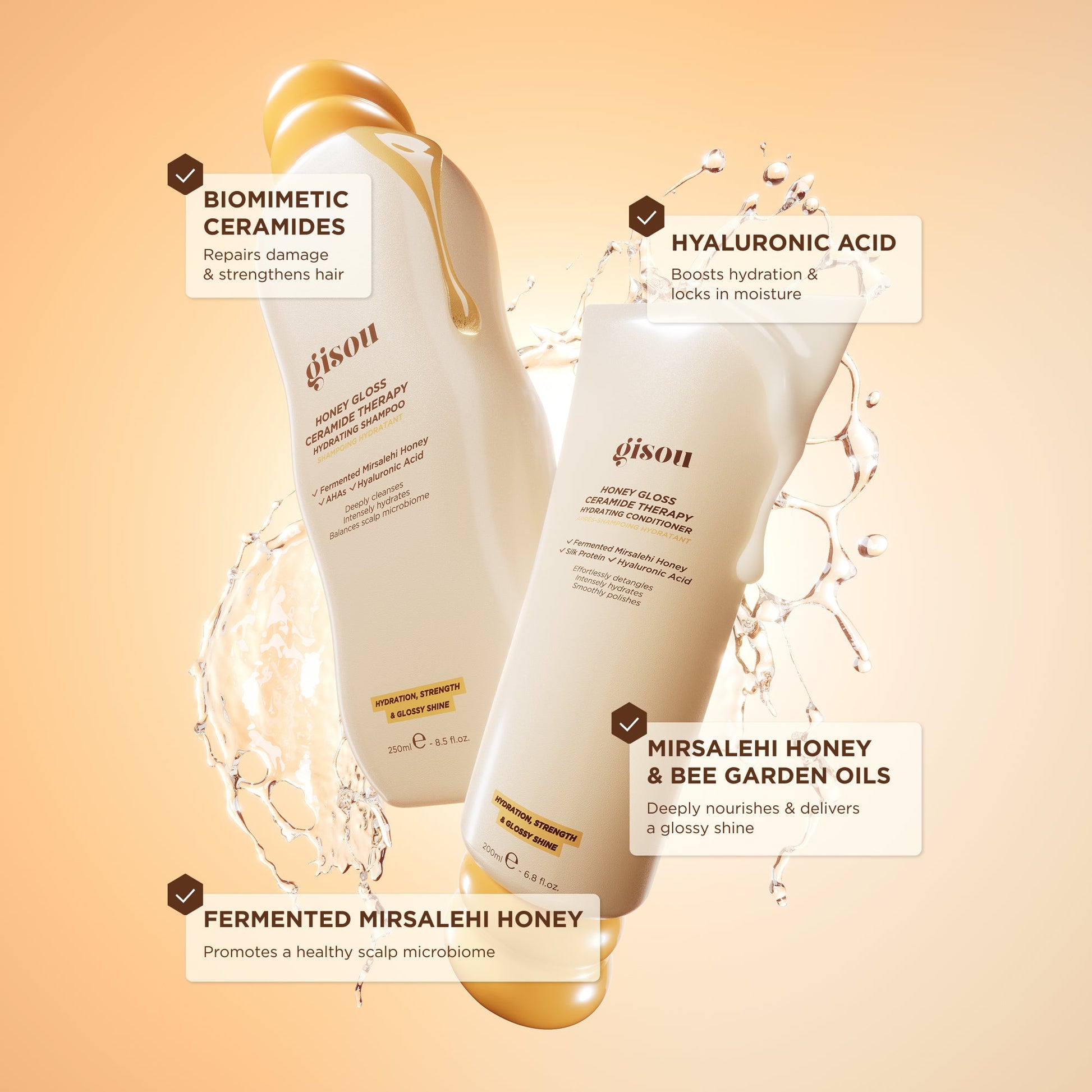 Honey Gloss Hair Wash Duo