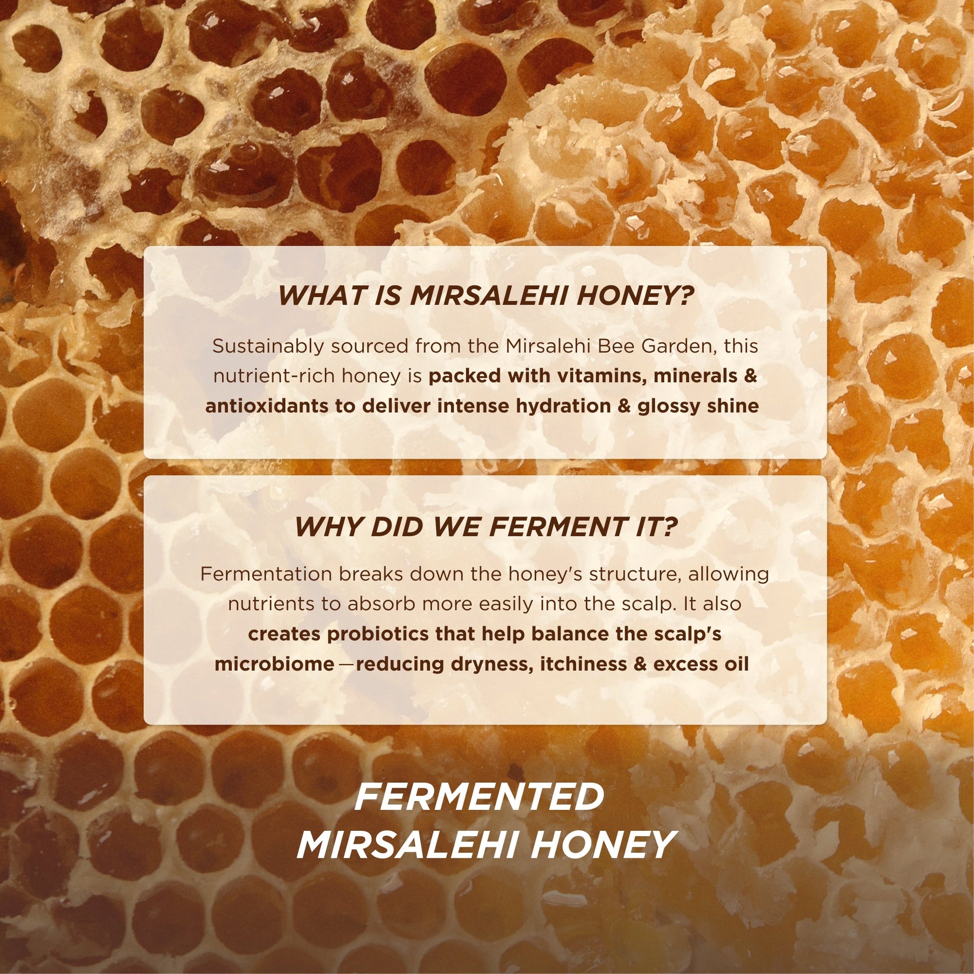 Honey Gloss Ceramide Therapy Hydrating Conditioner